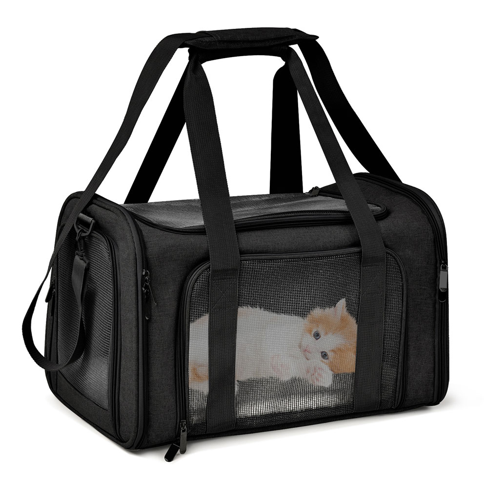 กระเป๋าเป้สะพายหลังสำหรับแมวแบ - Foldable Backpack Small บทวิจารณ์และราคา